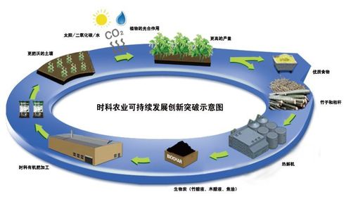 全球领先的生物炭基肥工厂与研发中心落户贵州威宁